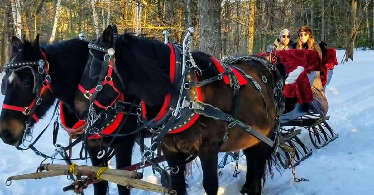 sleigh ride