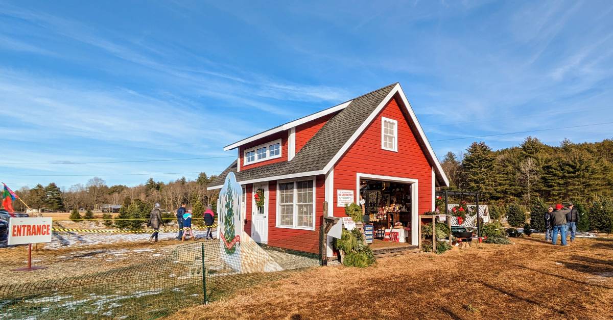 river bend christmas tree farm in lake luzerne