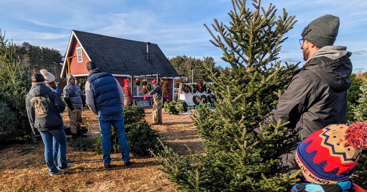 pepole at river bend christmas tree farm in lake luzerne