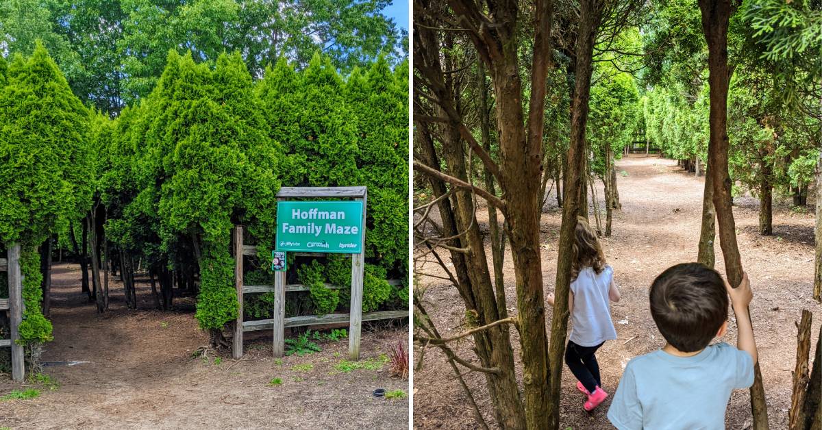 hoffman family maze at the crossings