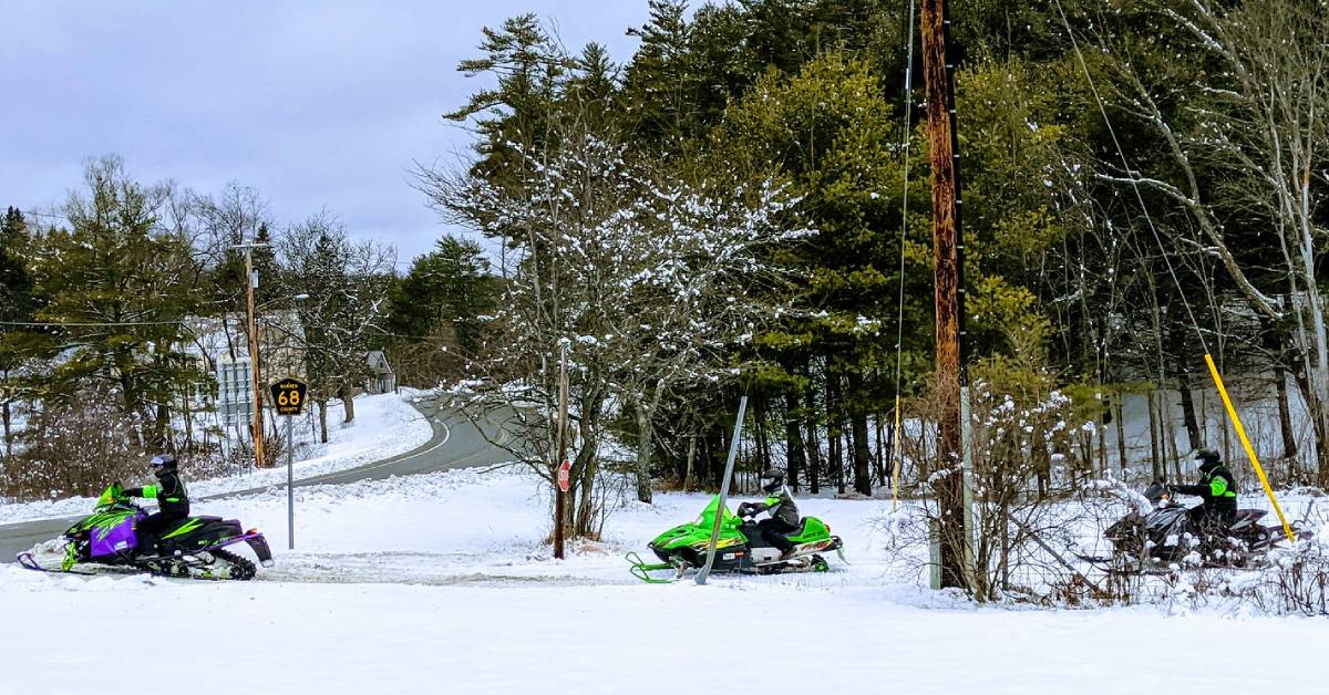 three snowmobilers near road