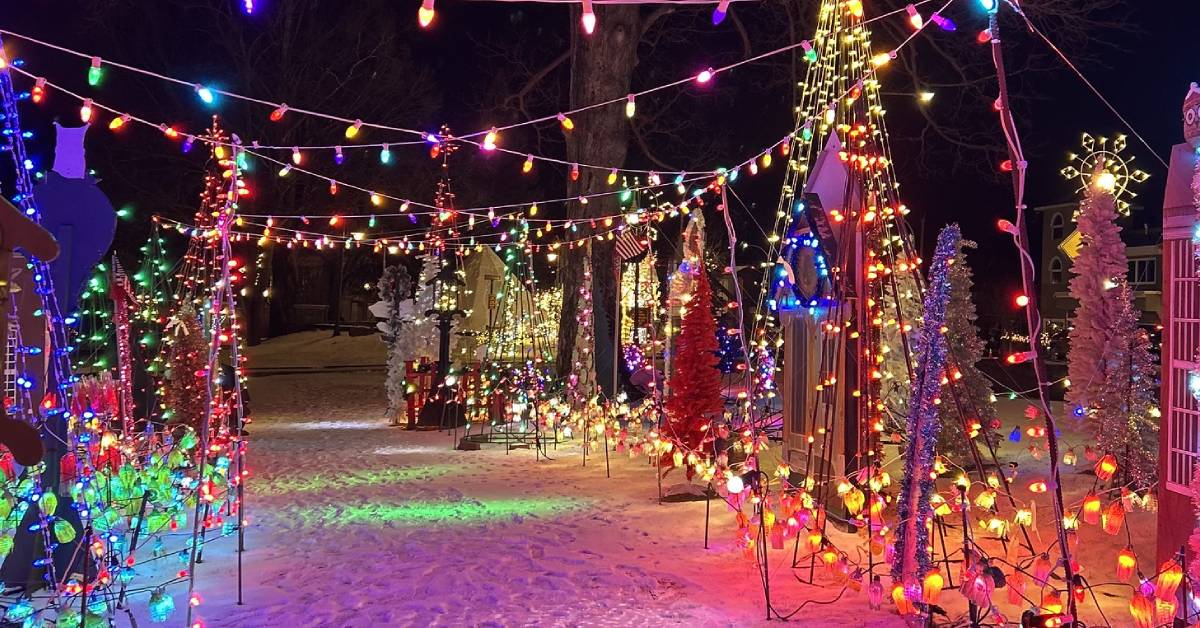 holiday lights in shepard park