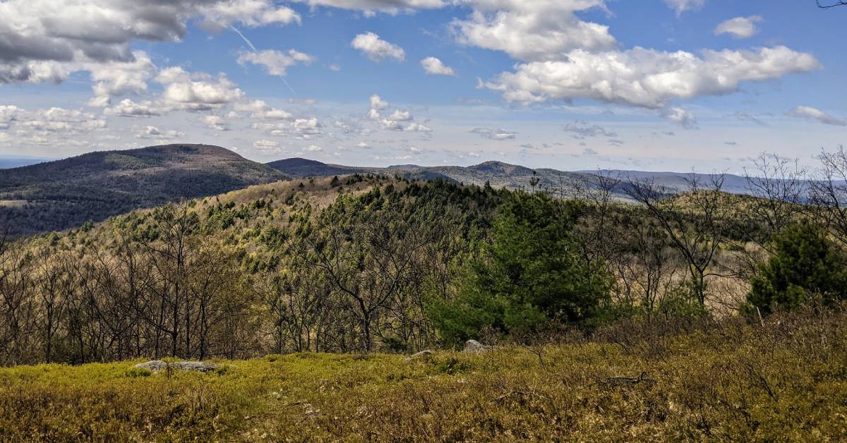 berry pond preserve view