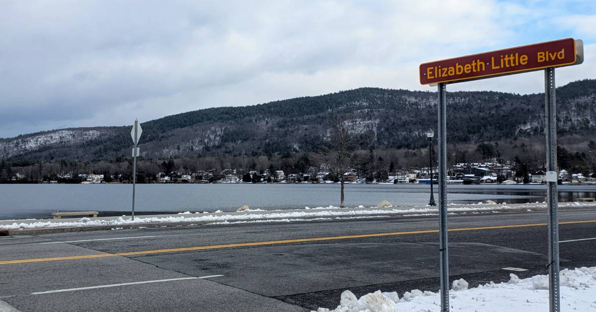 elizabeth little boulevard sign next to road in winter