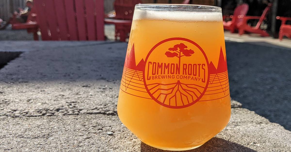 glass of common roots brewing beer outdoors