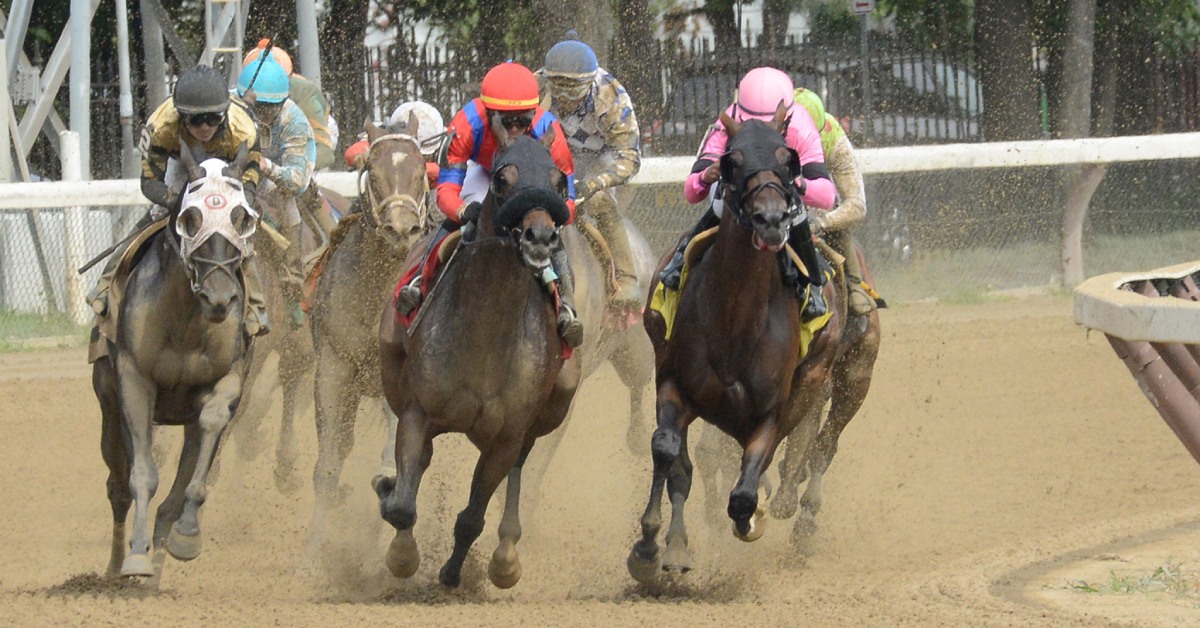 2024 Belmont Stakes at Saratoga Your Guide to the Races