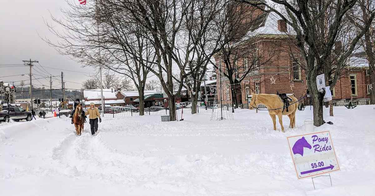 lake george winter carnival pony rides