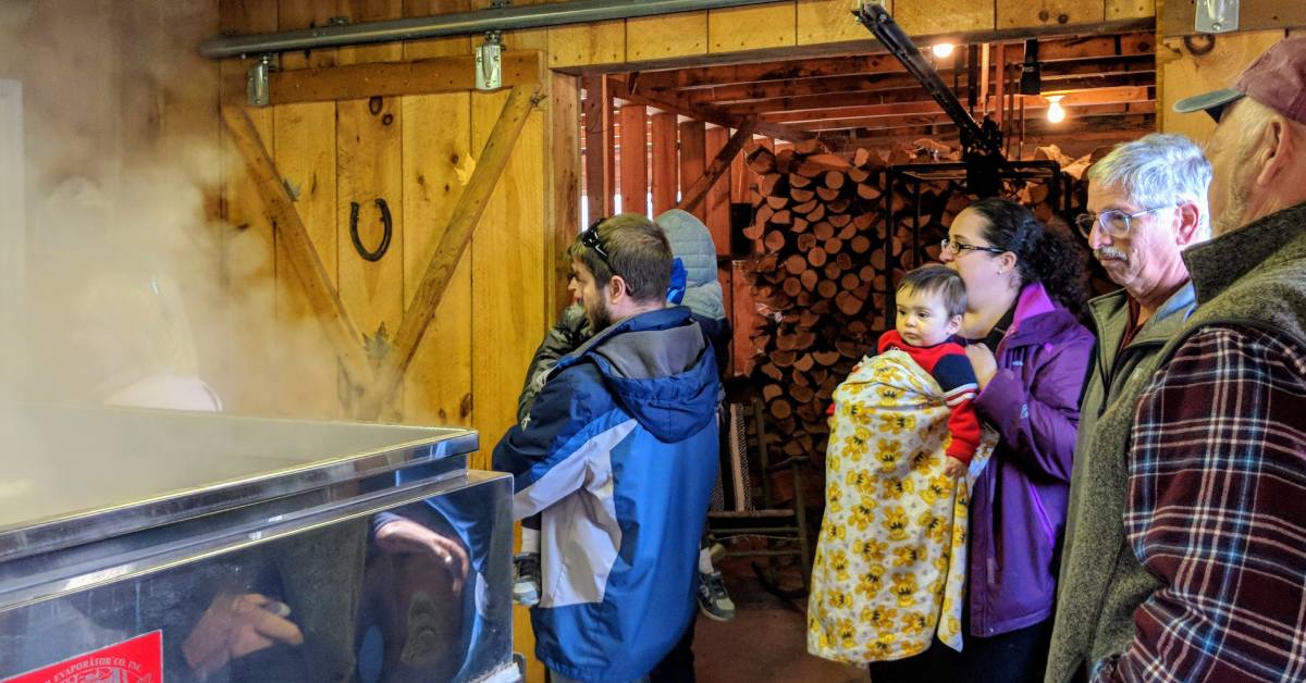 people on maple tour in sugar house