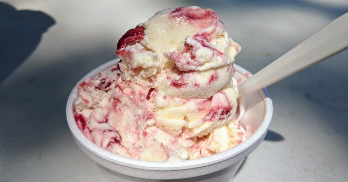 raspberry cheesecake ice cream at twin scoops in hudson falls