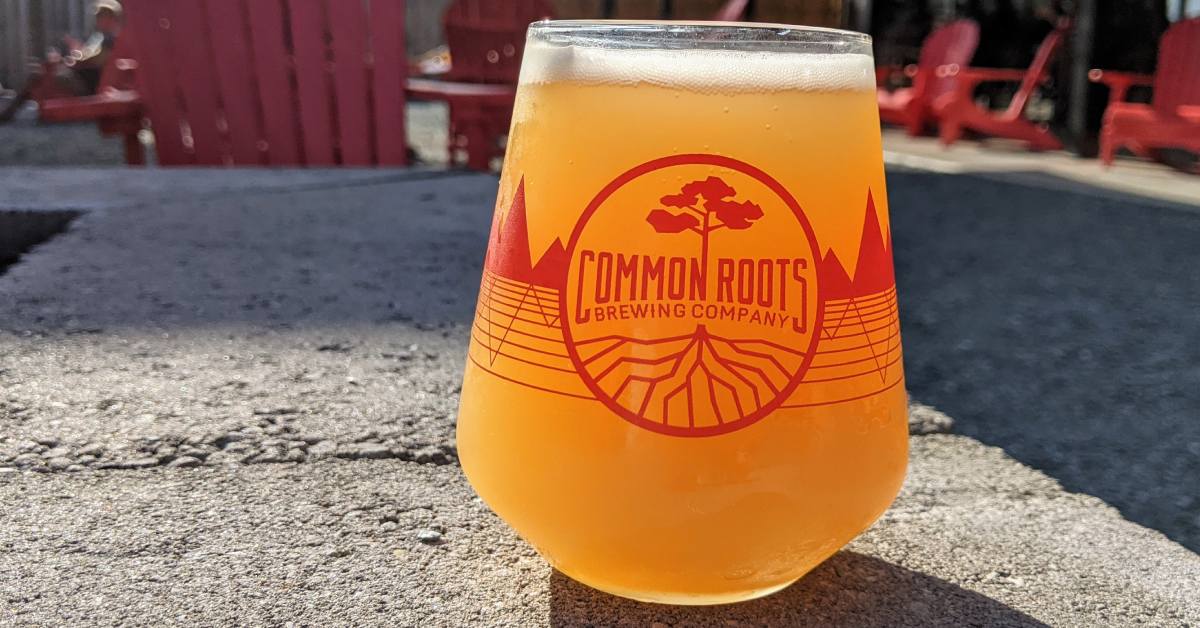 glass of common roots brewing beer on their patio
