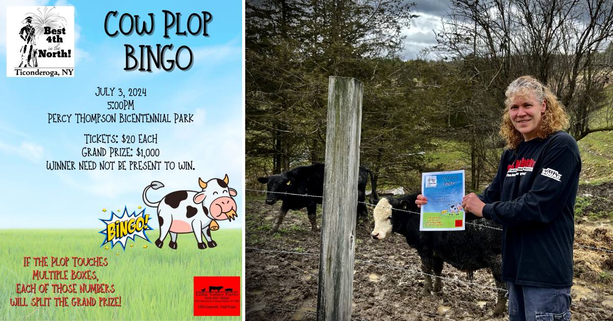 cow plop bingo at best 4th in the north