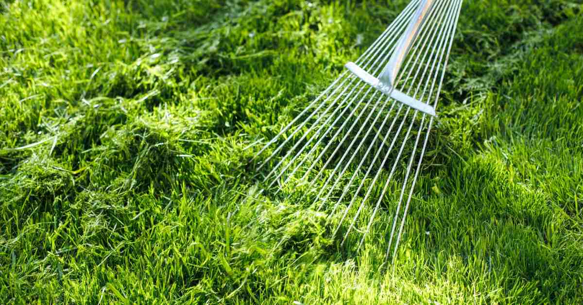 rake and grass clippings