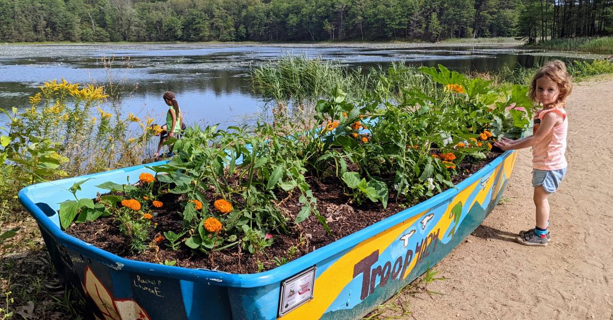 plants in a boat by water at moreau lake state park