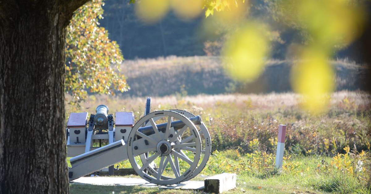 a cannon under a tree at saratoga battlefield