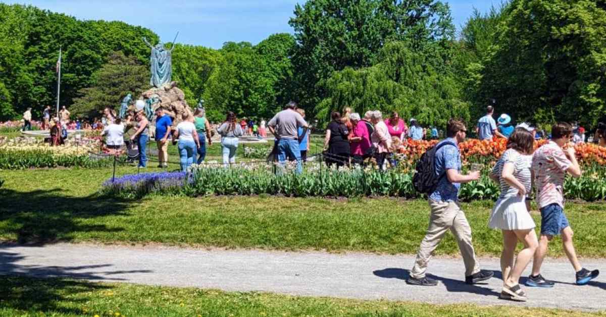people walking around a tulip festival in a park