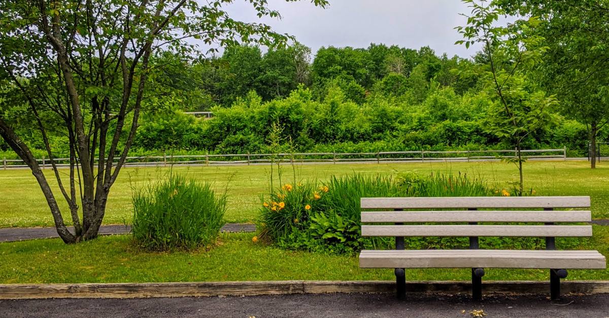 bench and walking path at hudson river park