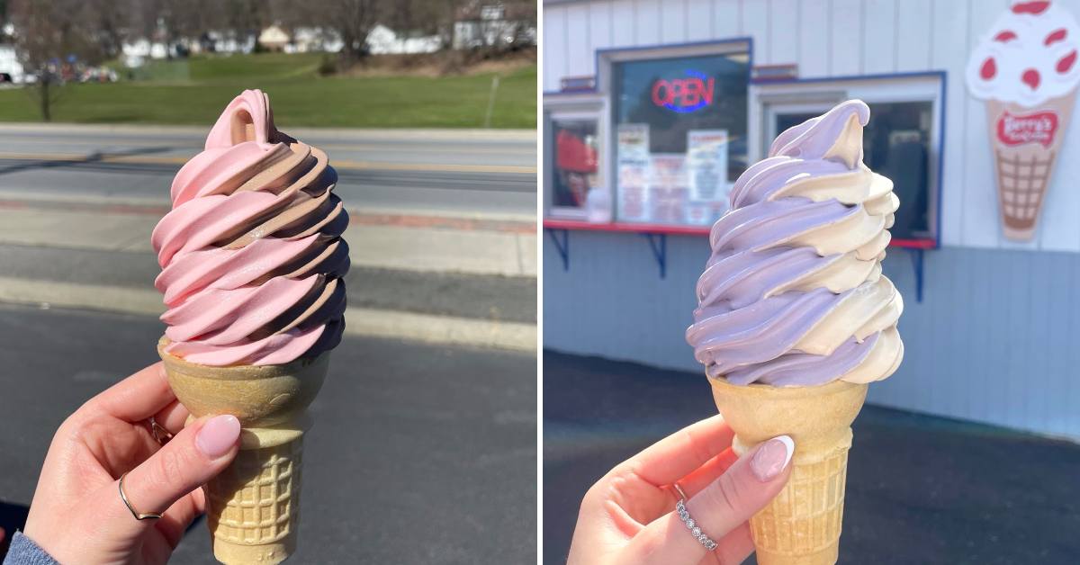 pink and chocolate ice cream twist in cone on the left, purple and white twist on the right