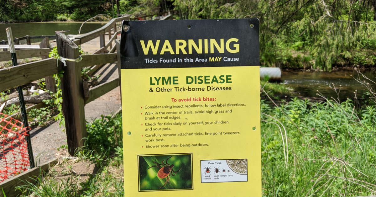 lyme disease and ticks sign in woods