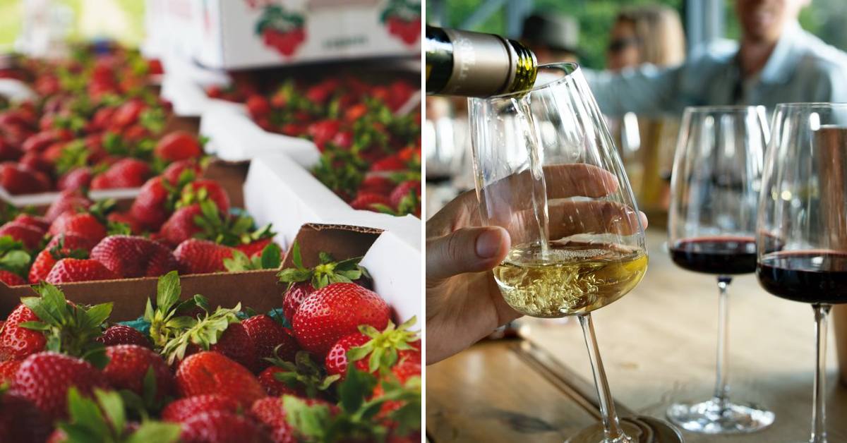strawberries on the left, white wine being poured on the right