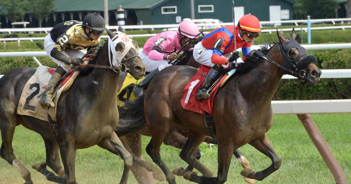 Close-up of 3 horses and their jockeys racing