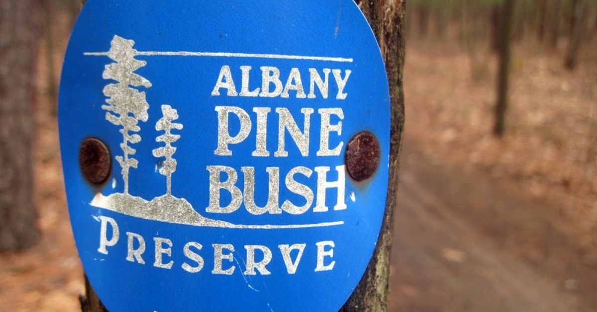 Close-up of blue Albany pine bush preserve trail marker