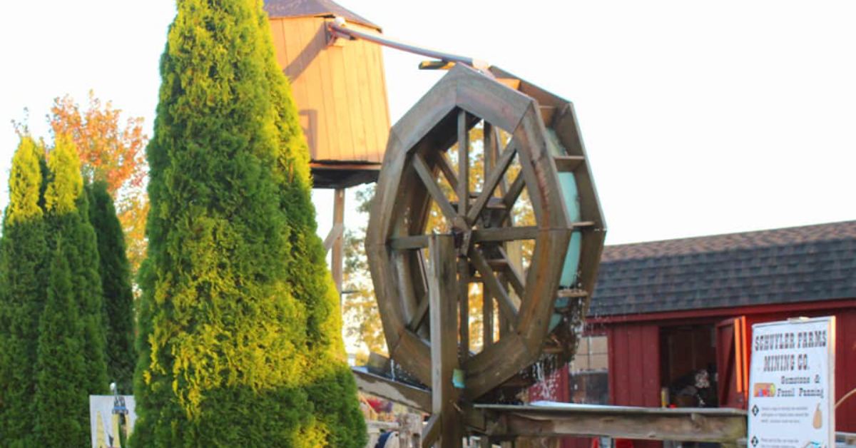 Large Water wheel with tall bushes on the left and a small red barn to the left. 