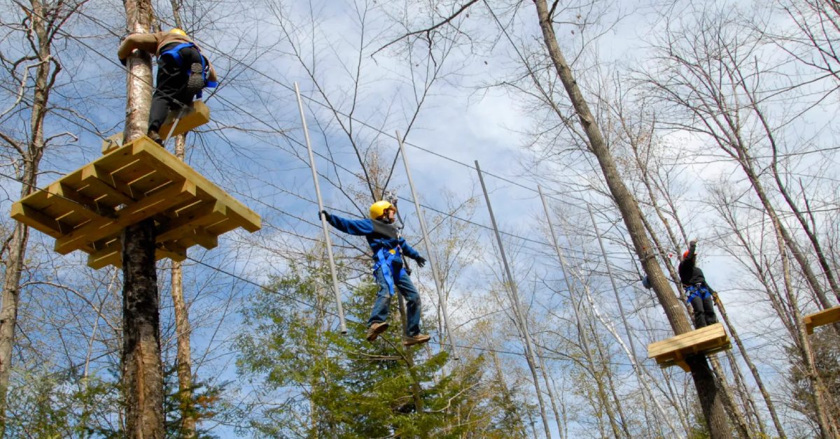 kids on treetop course