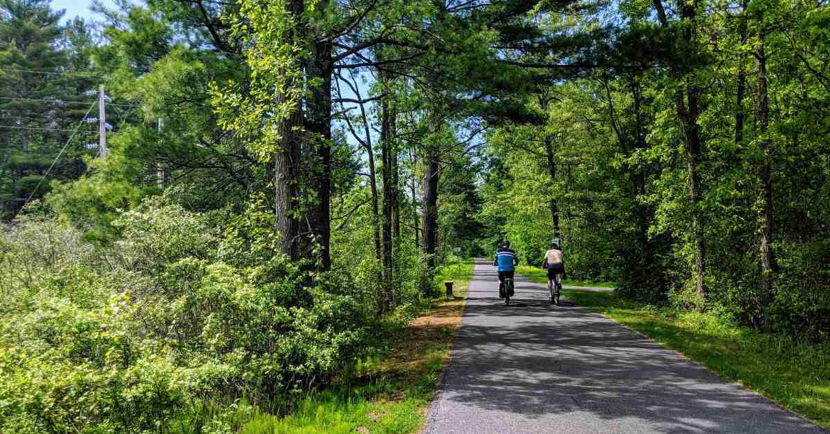 two bicyclists on a paved trail in the woods
