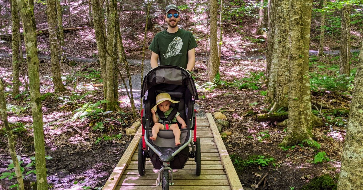 dad pushes stroller with little girl in woods