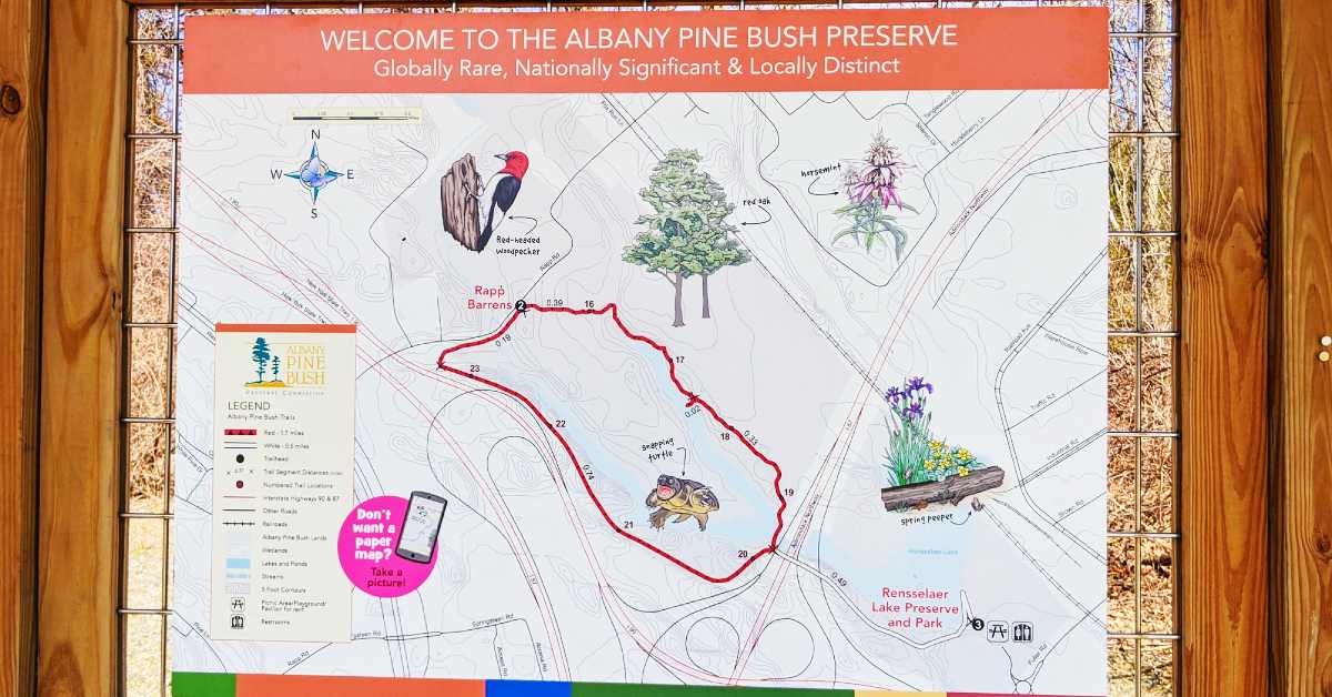 colorful map of albany pine bush preserve including a legend key 