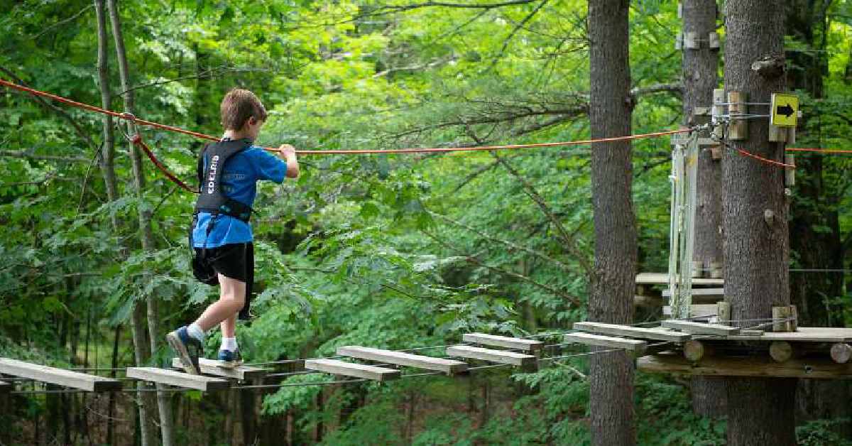 boy in a treetop course