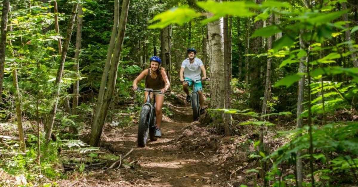 Two people mountain biking on a trail in the woods