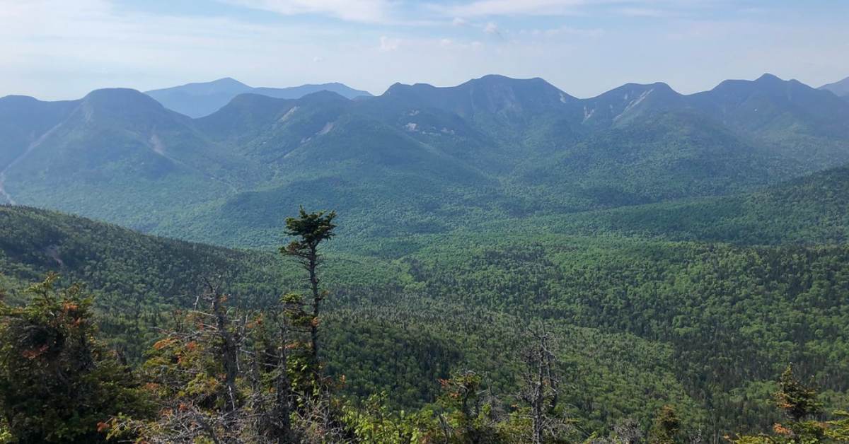 View of other mountains from on top of a mountain with trees in the forefront