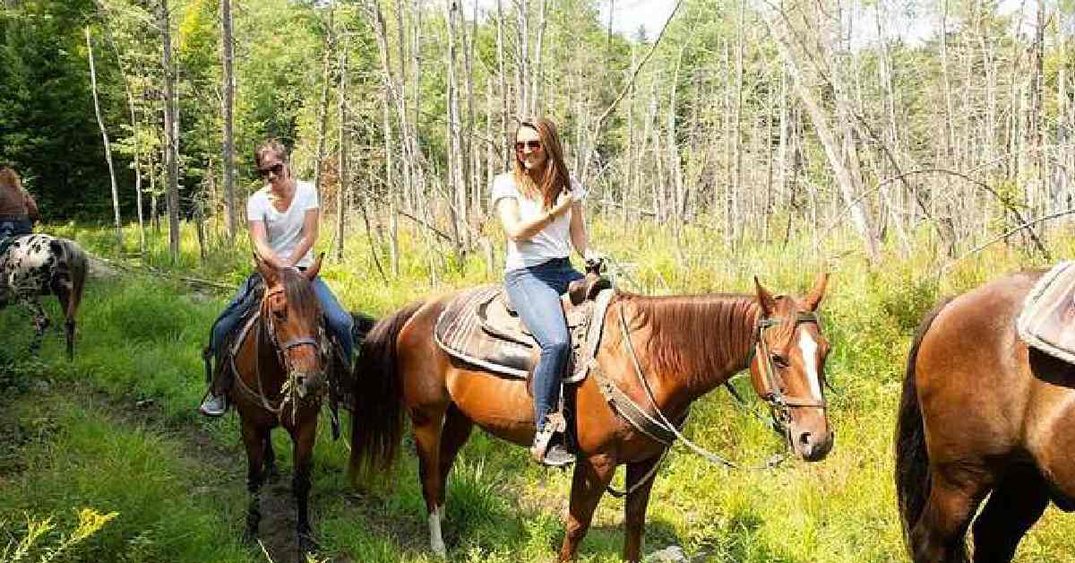 two women riding horses in the woods