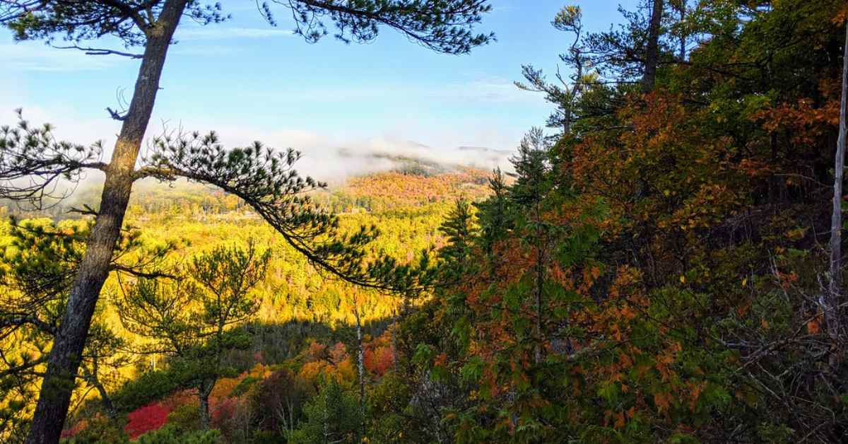 Elevated lookout from a mountain to an expanse of fall foliage