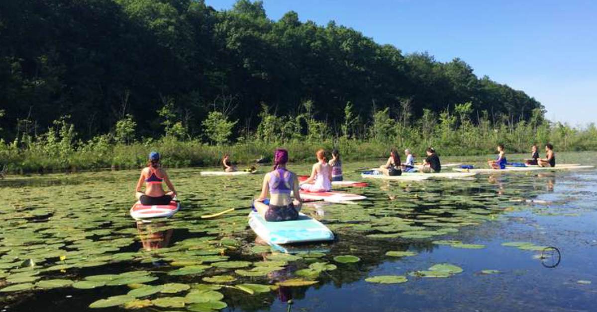 a group of people on paddle-boards floating among lilypads doing yoga