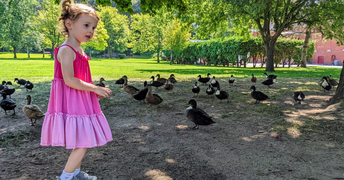 little girl with ducks in congress park