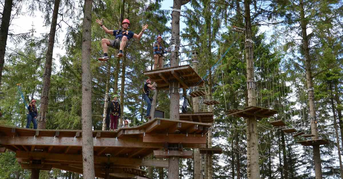 a treetop adventure park