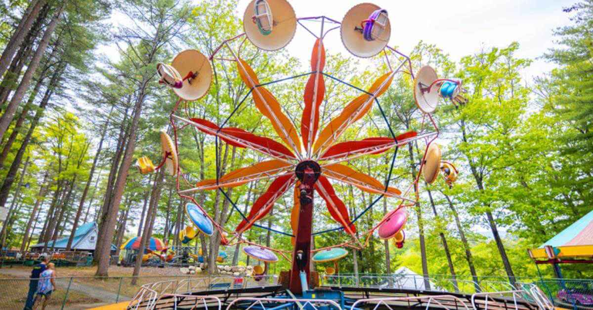 a circular amusement park ride in the woods