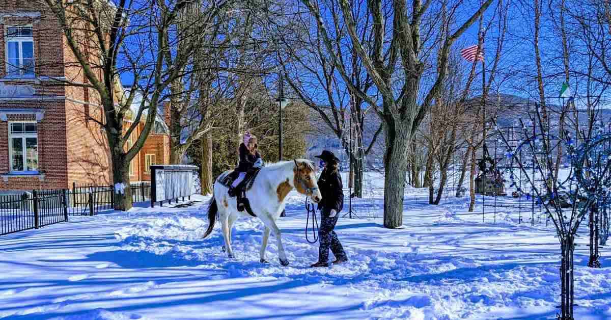 winter pony ride 