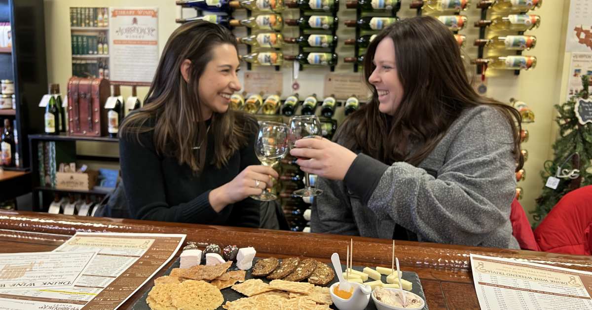 Two women cheersing with wine glasses