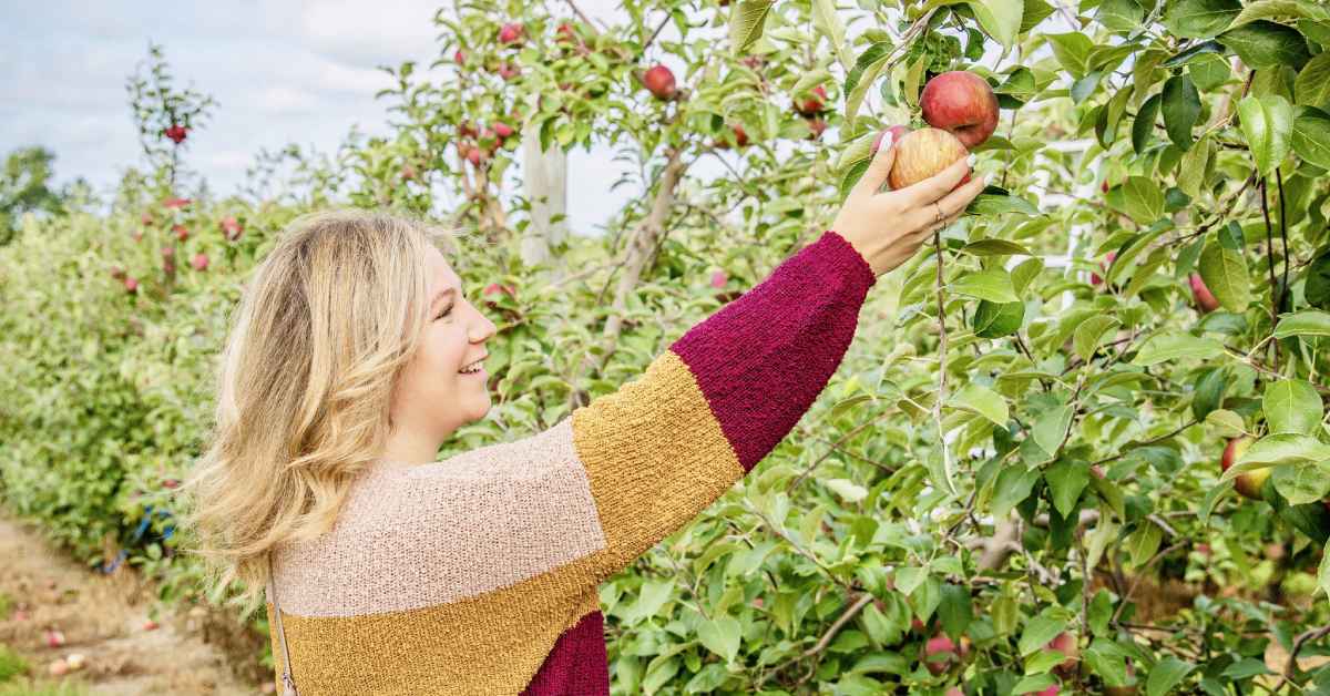 Woman with blond hair picking an apple off a tree