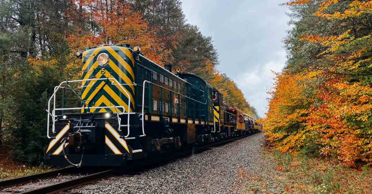 Train surrounded by yellow orange and green leaves