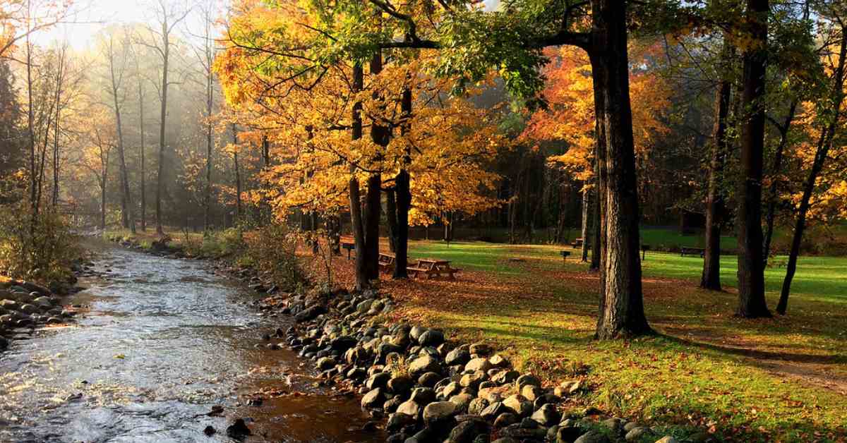 A creek next a picnic area with yellow, orange, and green trees. 