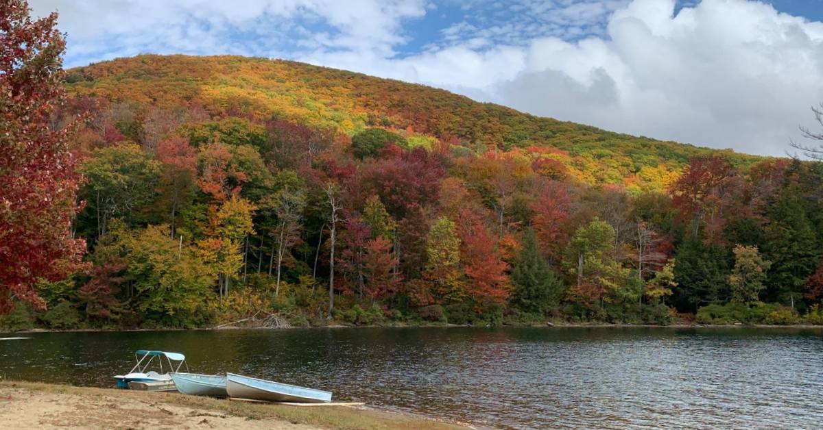 fall foliage by lake, a few rowboats