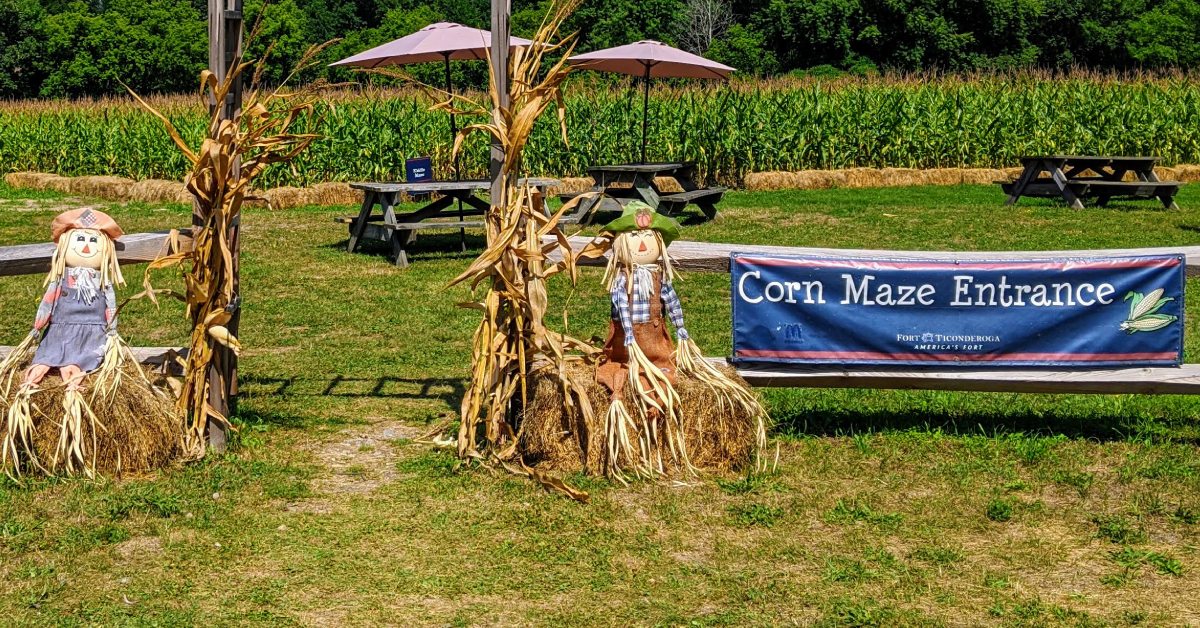 corn maze entrance at fort ticonderoga