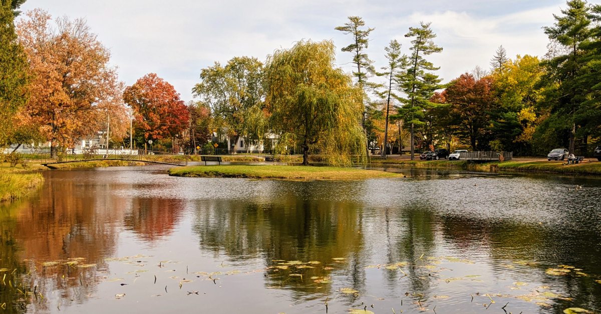 crandall park in the fall