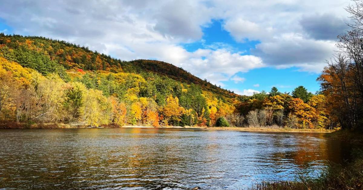 fall foliage along river