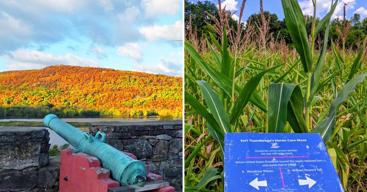 fall foliage with cannon on the left, corn maze with sign on the right