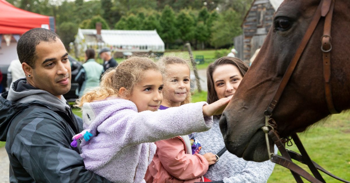 family pets a horse at festival